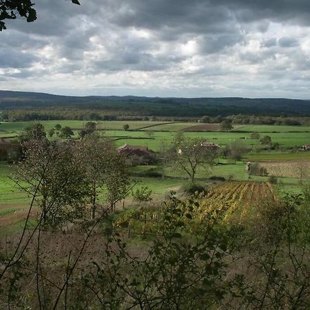 Le Coeur Du Lys Villa Chissey-les-Macon Bagian luar foto