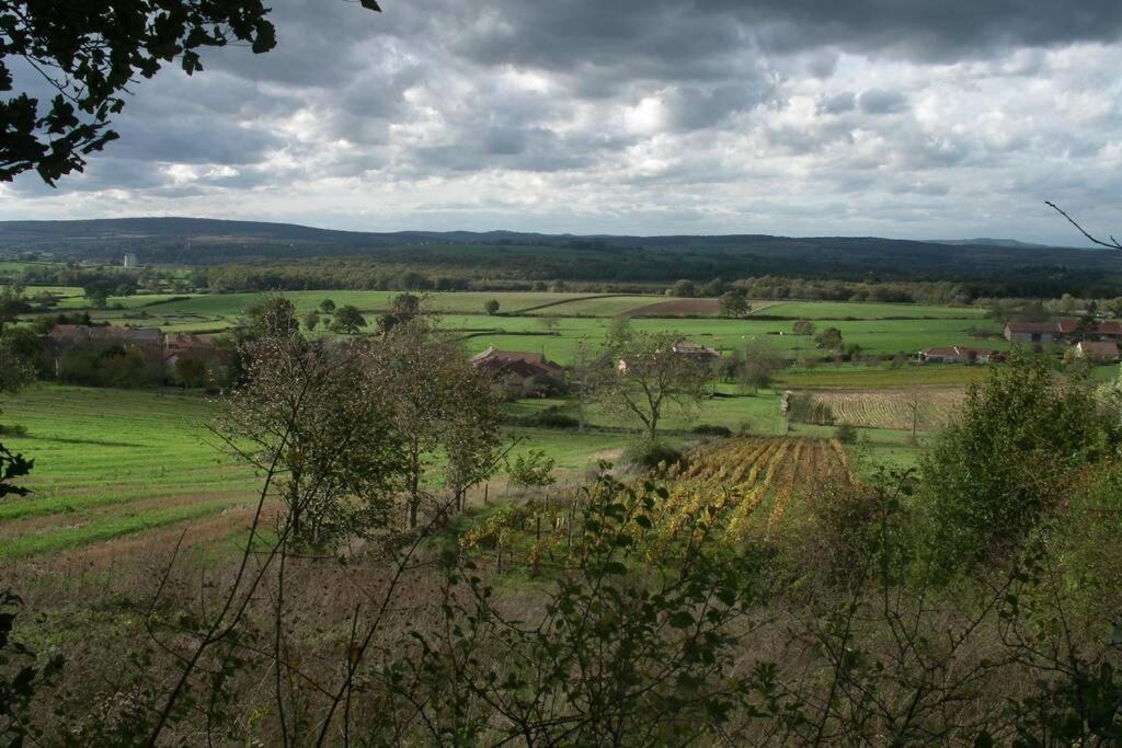 Le Coeur Du Lys Villa Chissey-les-Macon Bagian luar foto