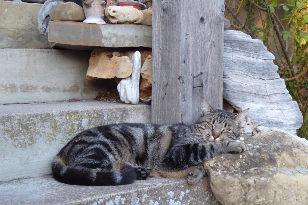 Le Coeur Du Lys Villa Chissey-les-Macon Bagian luar foto