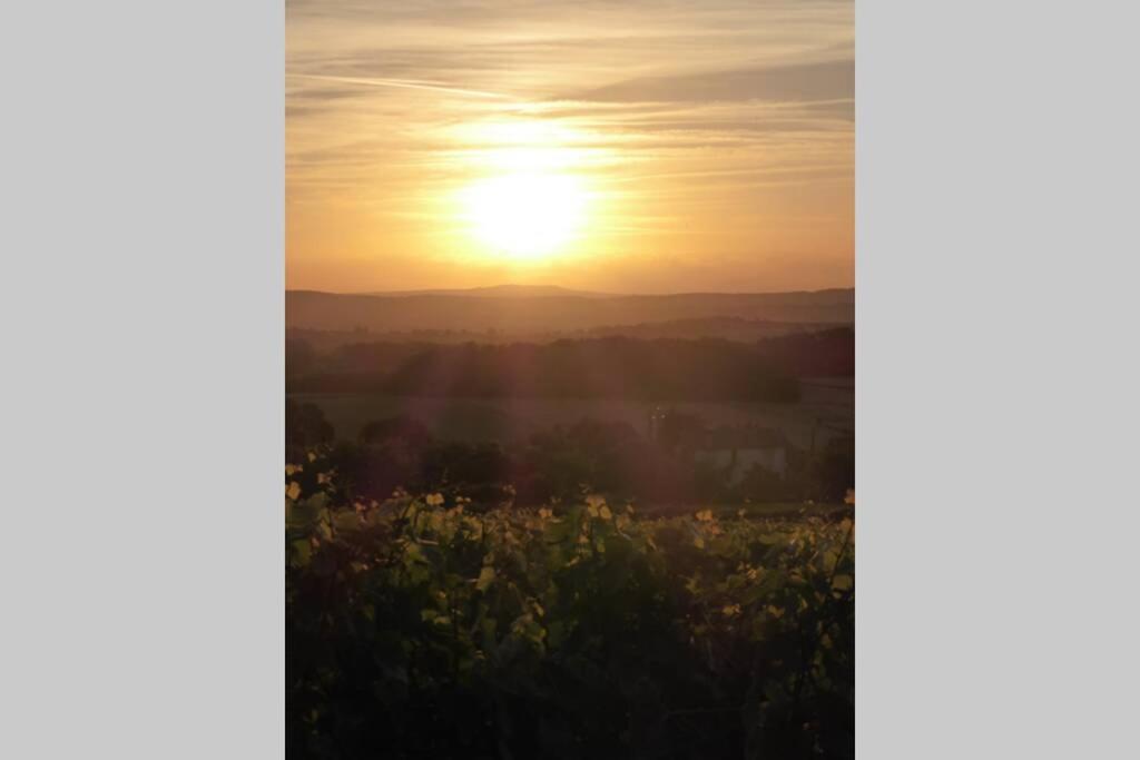 Le Coeur Du Lys Villa Chissey-les-Macon Bagian luar foto