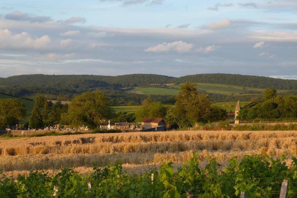 Le Coeur Du Lys Villa Chissey-les-Macon Bagian luar foto